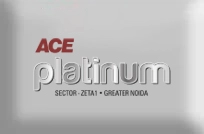 ace-platinam-logo
